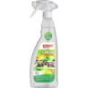 CleanStar Ecocert